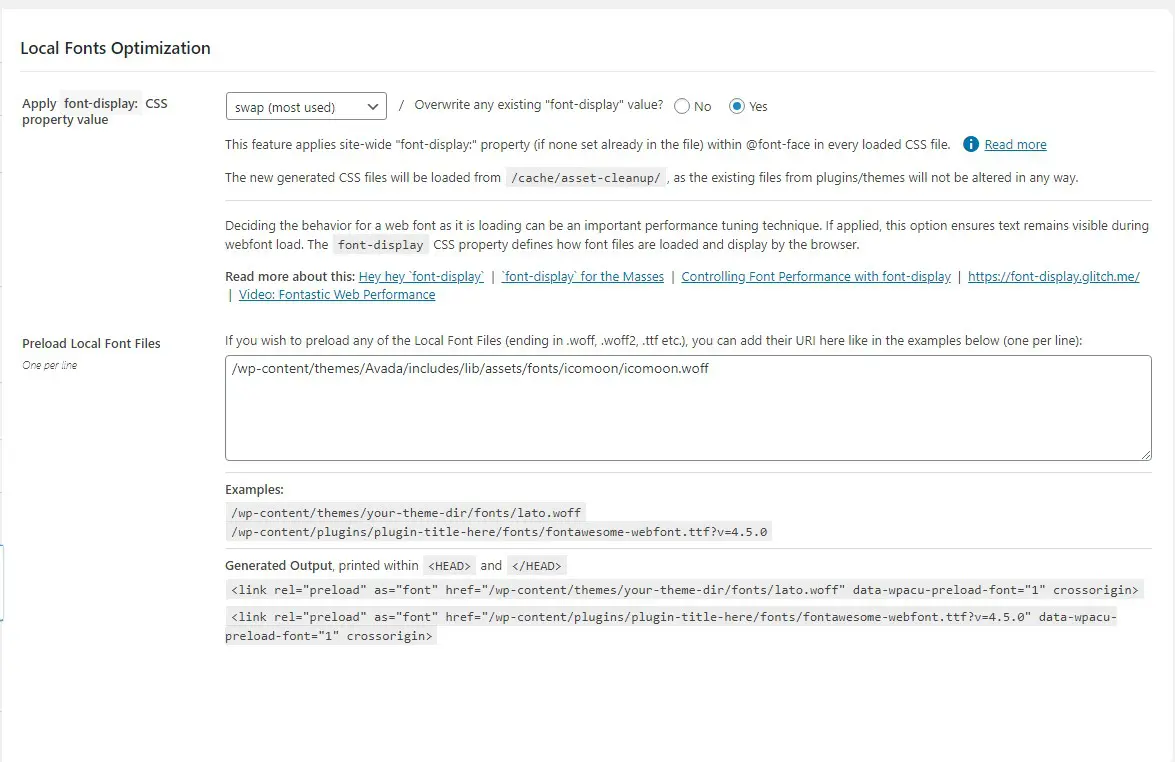 Asset CleanUp PRO local fonts