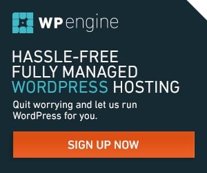 WP Engine best wordpress managed hosting